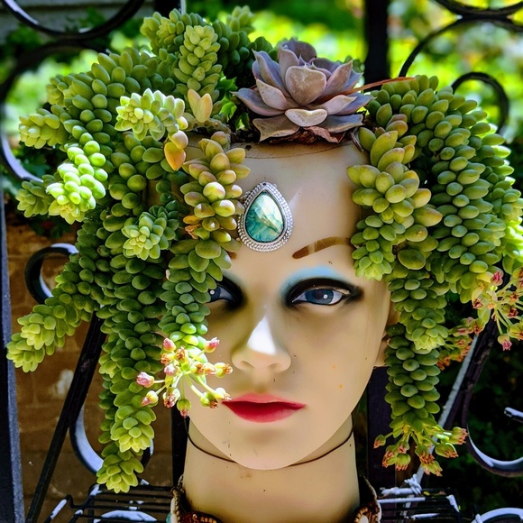 Meet your Posher, Grace - Picture 1 of 1